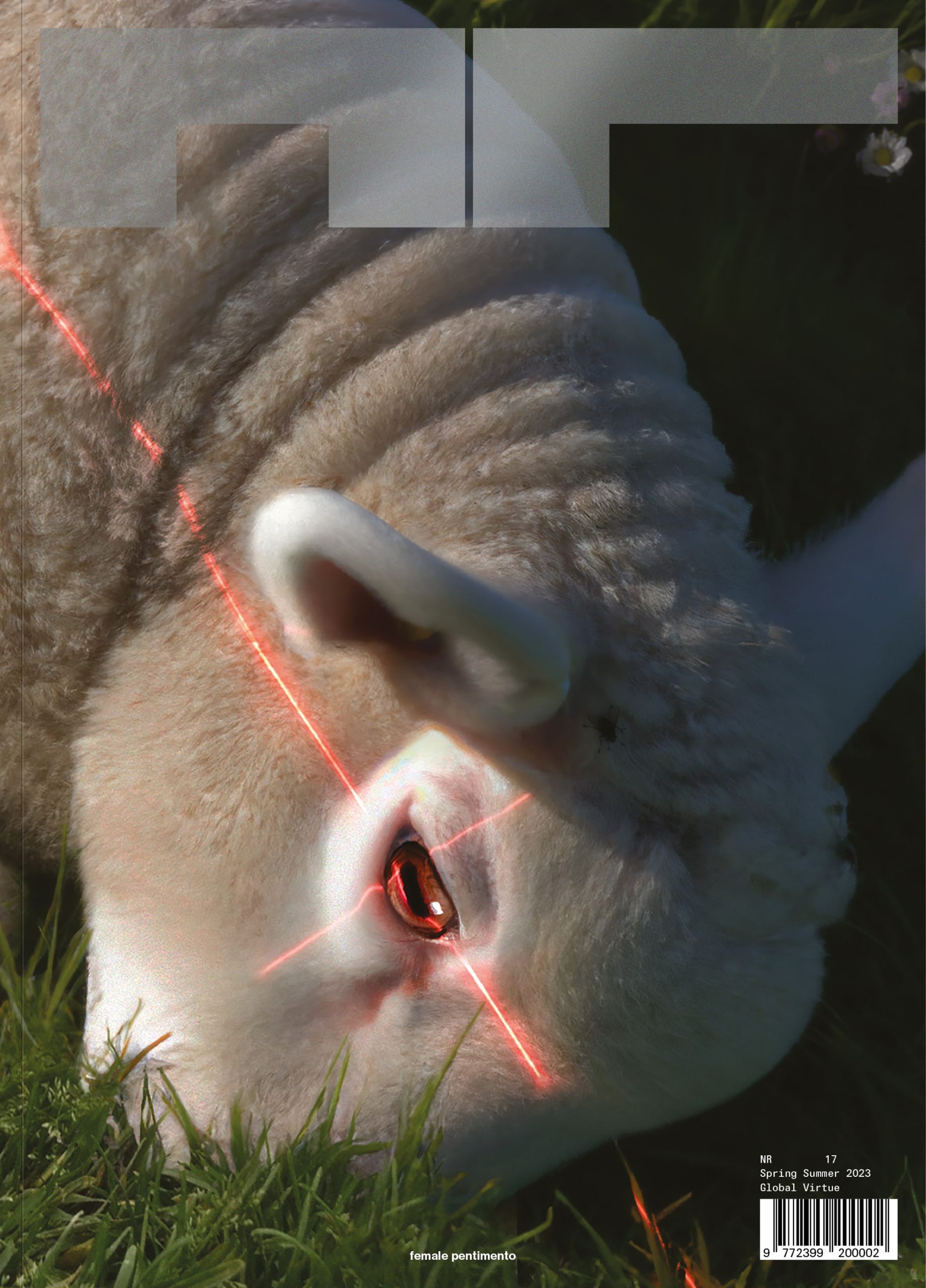 NR 17 the Global Virtue Issue