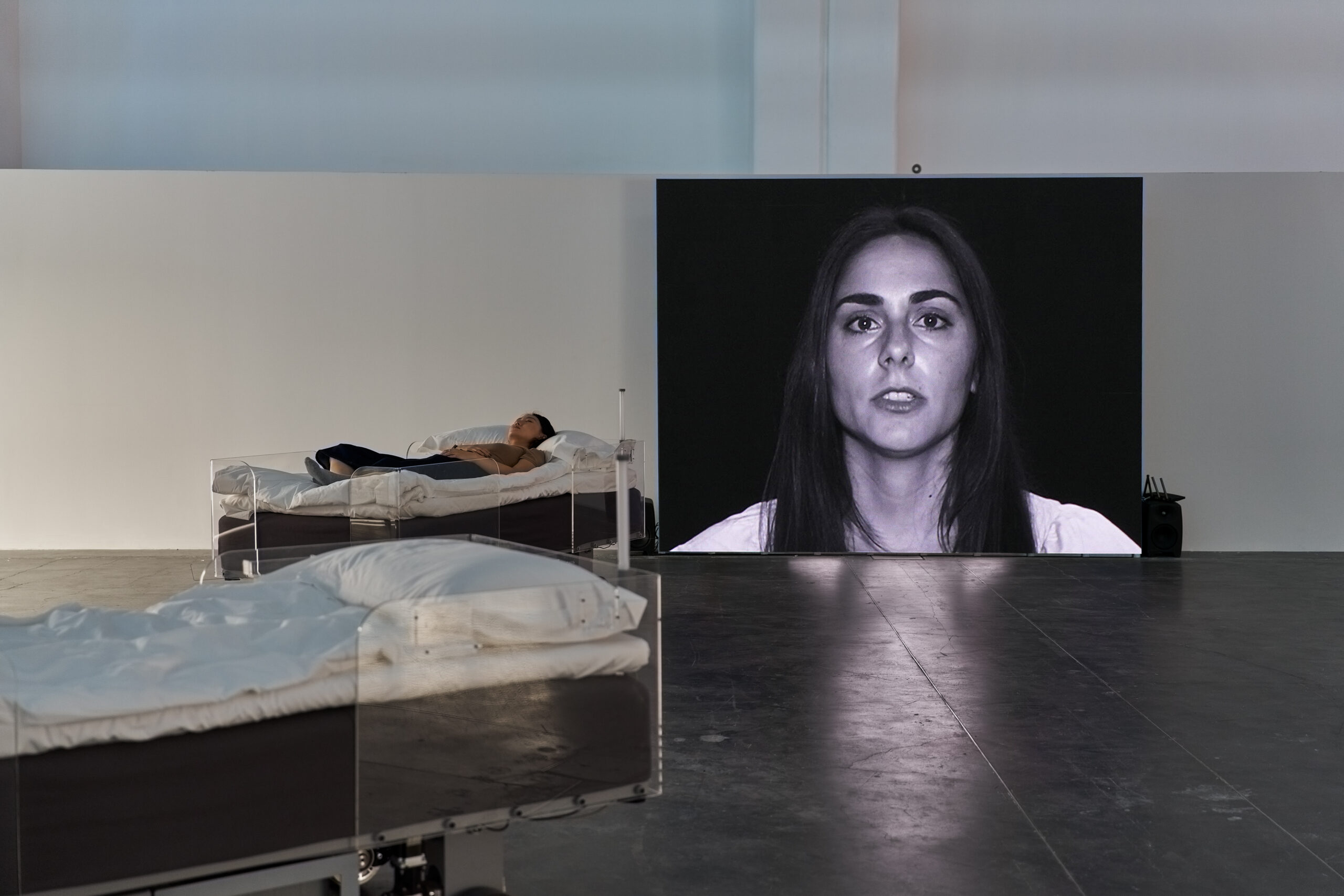 Carsten Höller Brings: Two