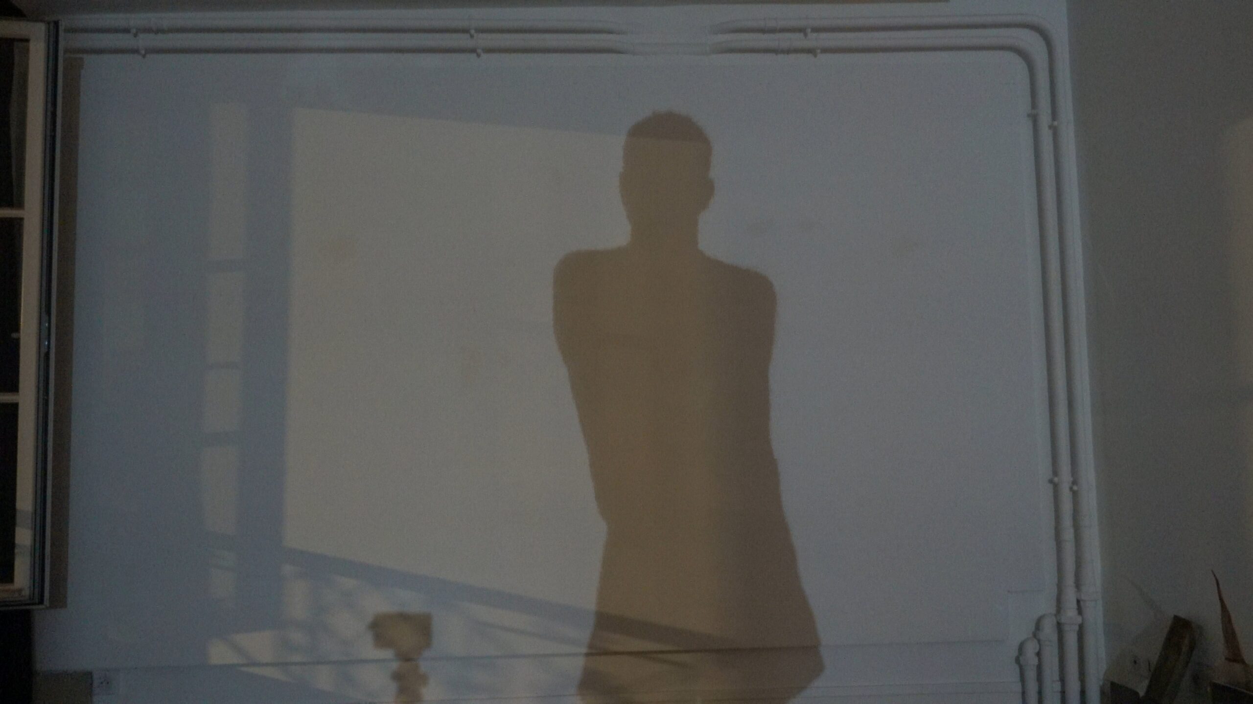Wolfgang Tillmans: Glade / Clairière